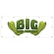 Signmission Big Dill Pickles Banner Heavy Duty 13 Oz Vinyl with Grommets B-120 Big Dill Pickles - alternate 1